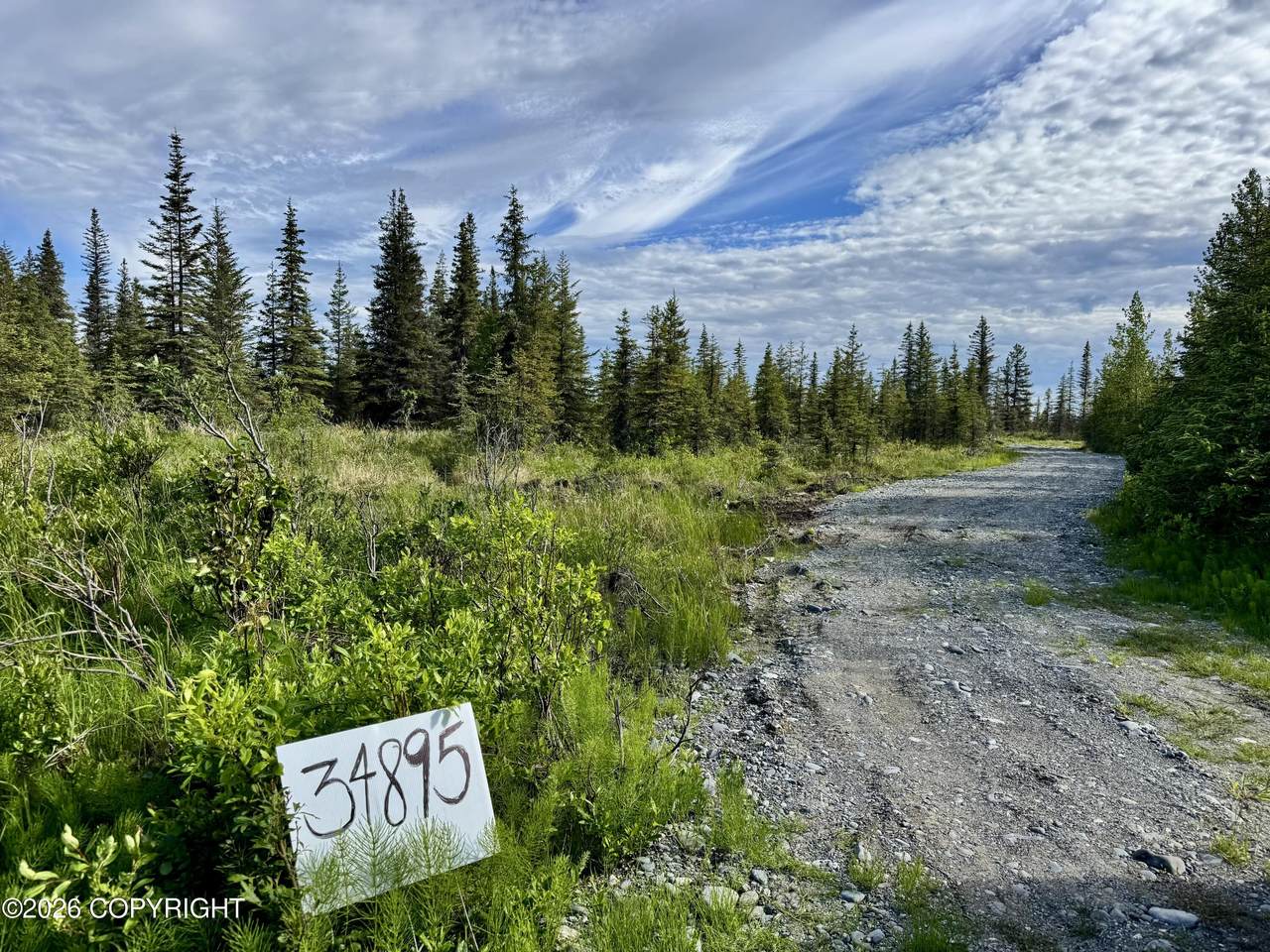 34895 Fork Road - Photo 1