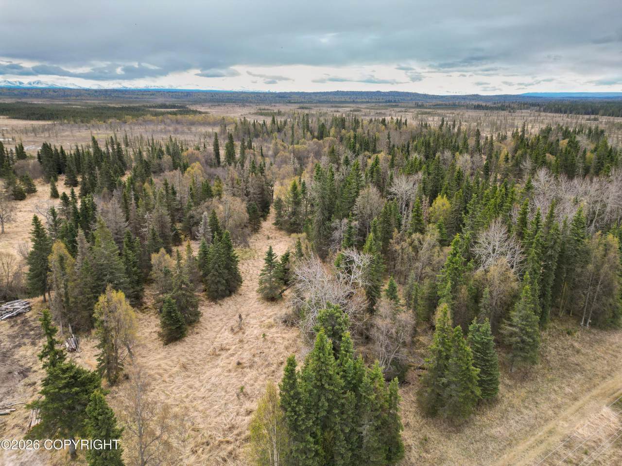 30276 Kalifornsky Road - Photo 1