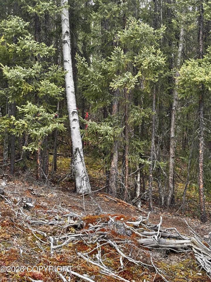https://bt-photos.global.ssl.fastly.net/alaska/orig_boomver_2_26-6101-2.jpg