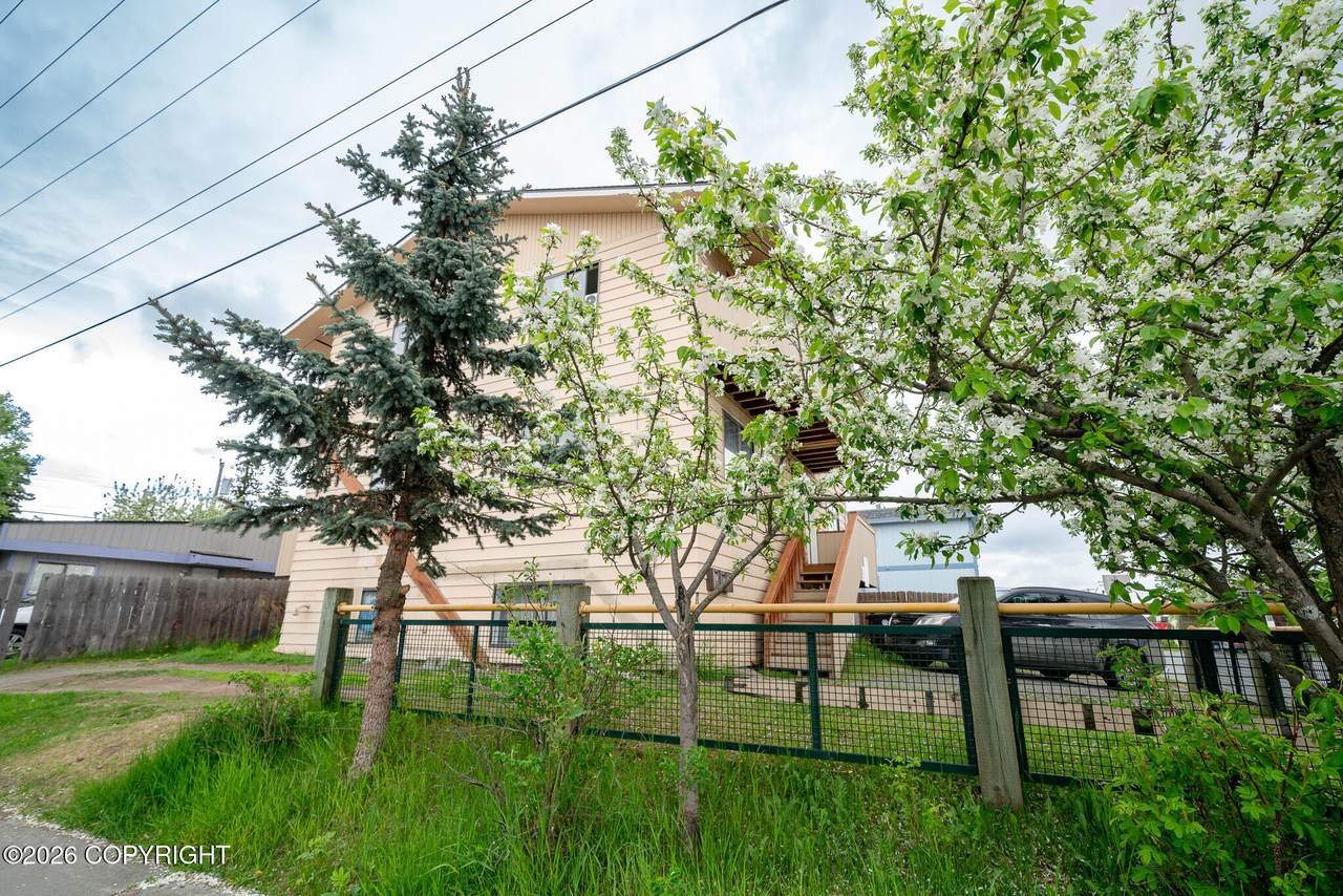 241 Park Street - Photo 1