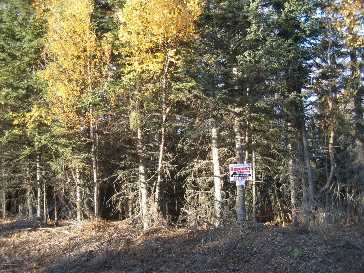 53950 Stol Road - Photo 1