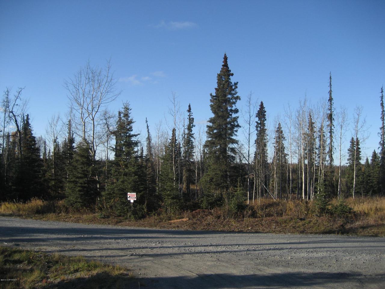 53766 Stol Road - Photo 1