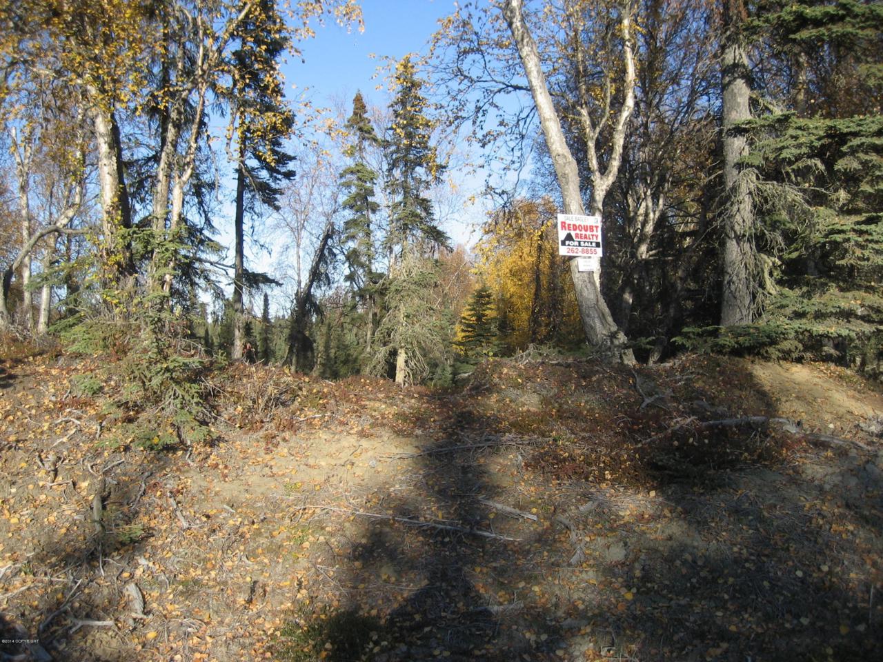 53670 Stol Road - Photo 1