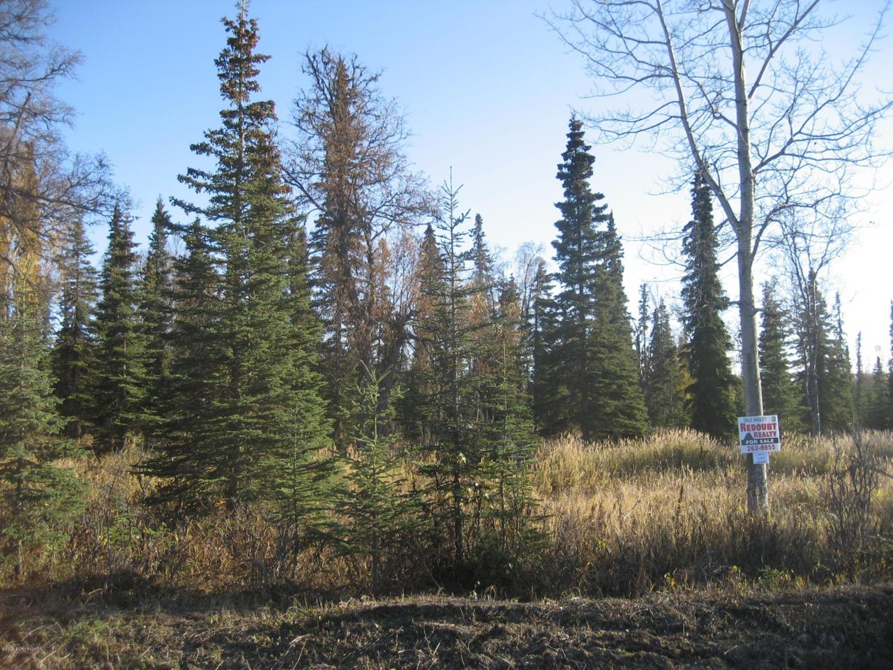 53747 Stol Road - Photo 1