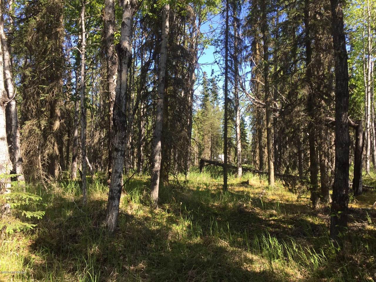 51288 Joker Avenue - Photo 1