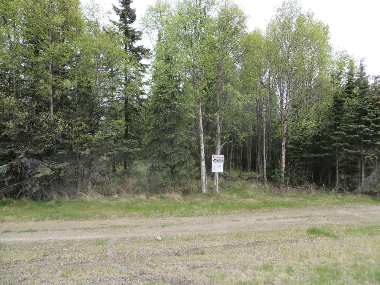 14320 Kenai Spur Highway - Photo 1