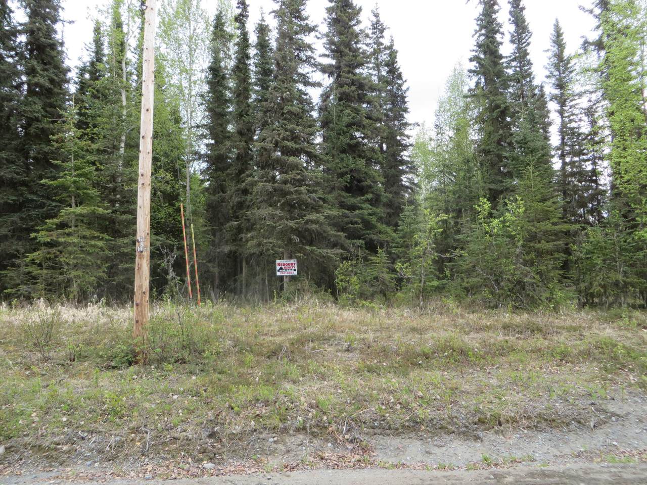 1325 Nighthawk Lane - Photo 1