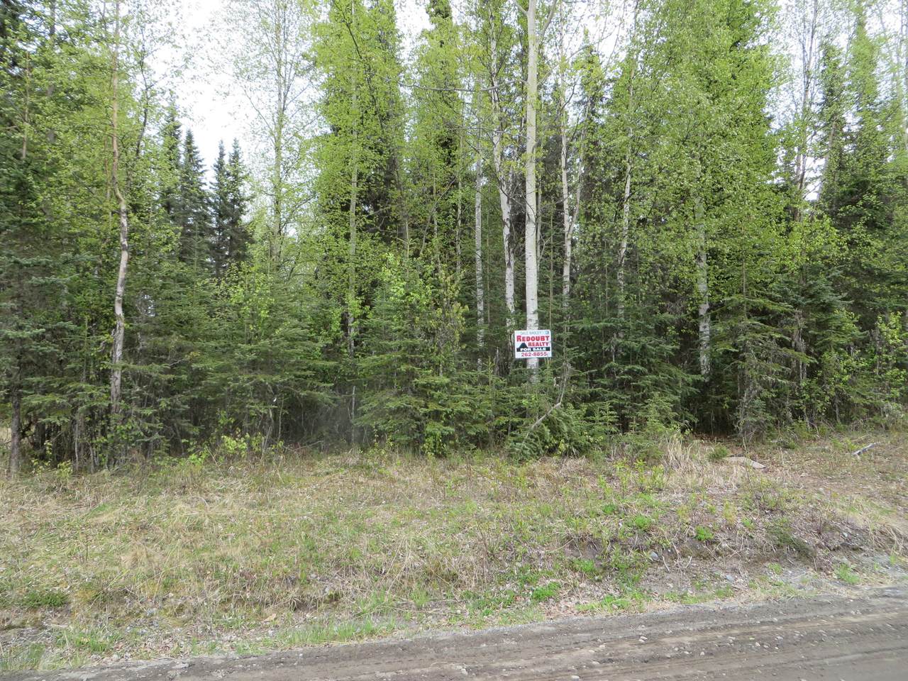 5220 Silver Salmon Drive - Photo 1