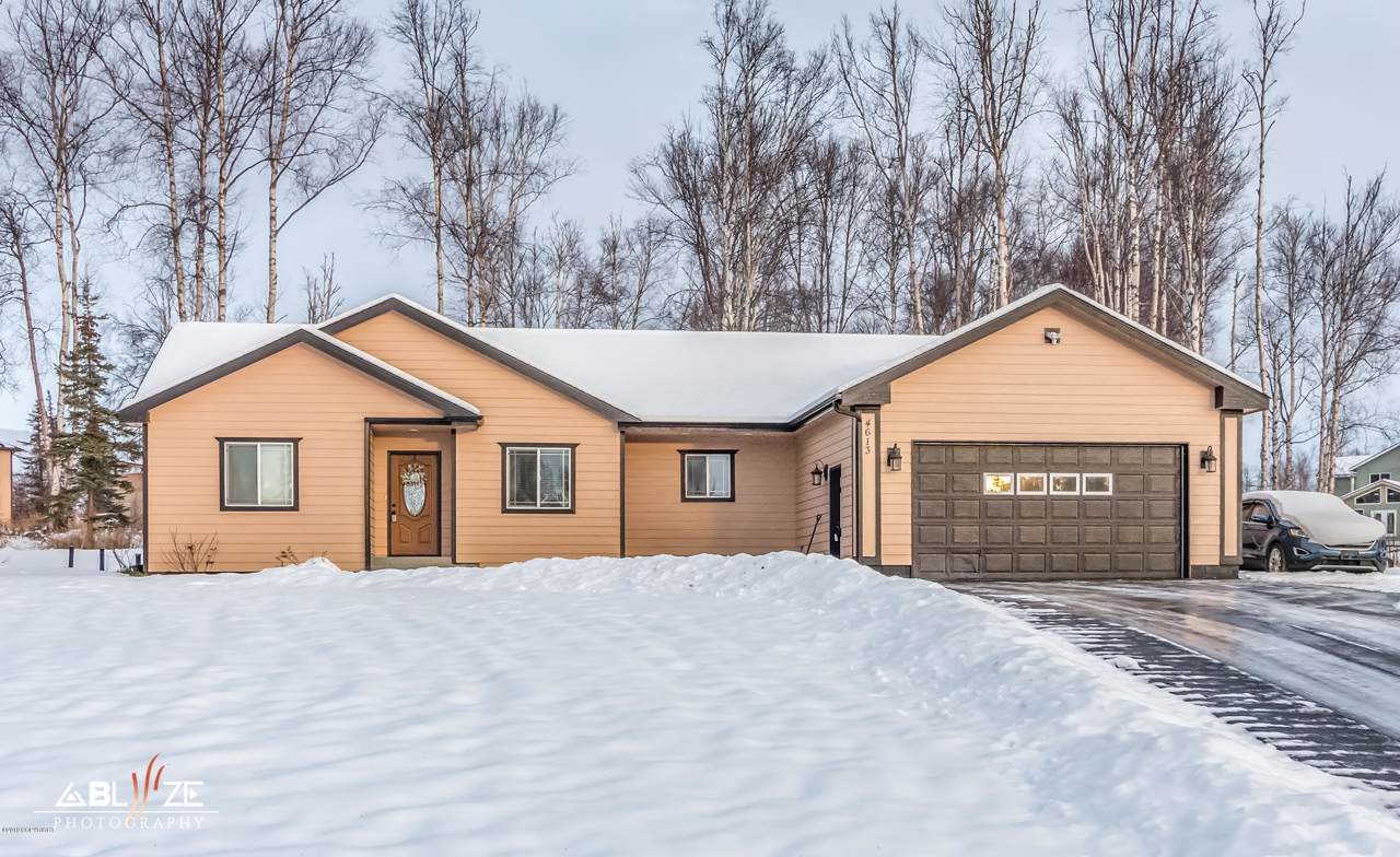 4613 Gold Mint Drive - Photo 1