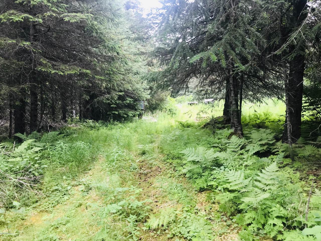 38922 Eagleaerie Wilderness Road - Photo 1