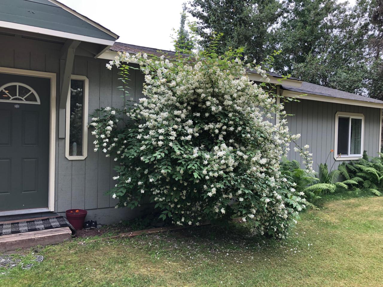 7910 Terrestrial Avenue - Photo 1