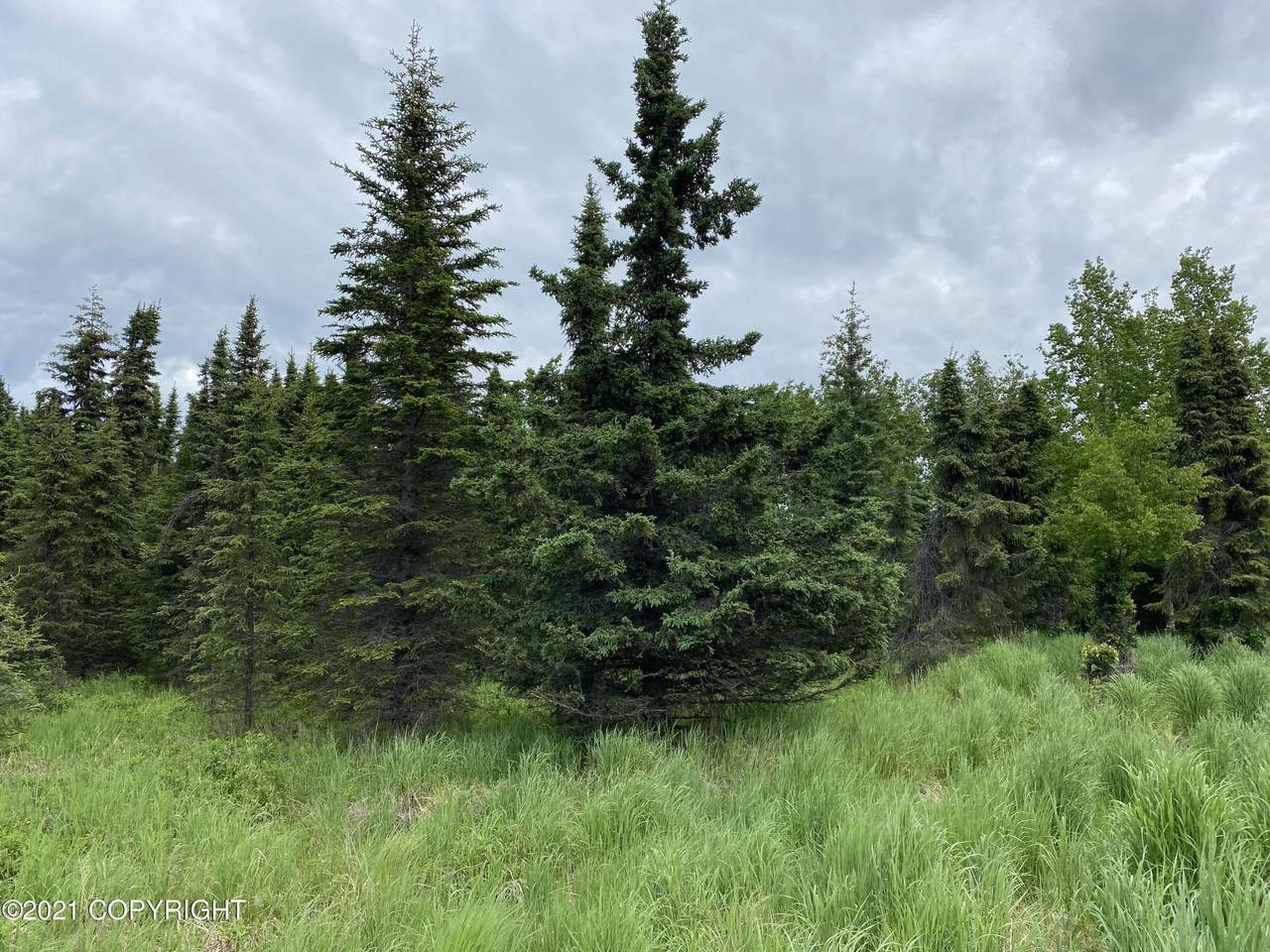 000 Redoubt - Photo 1