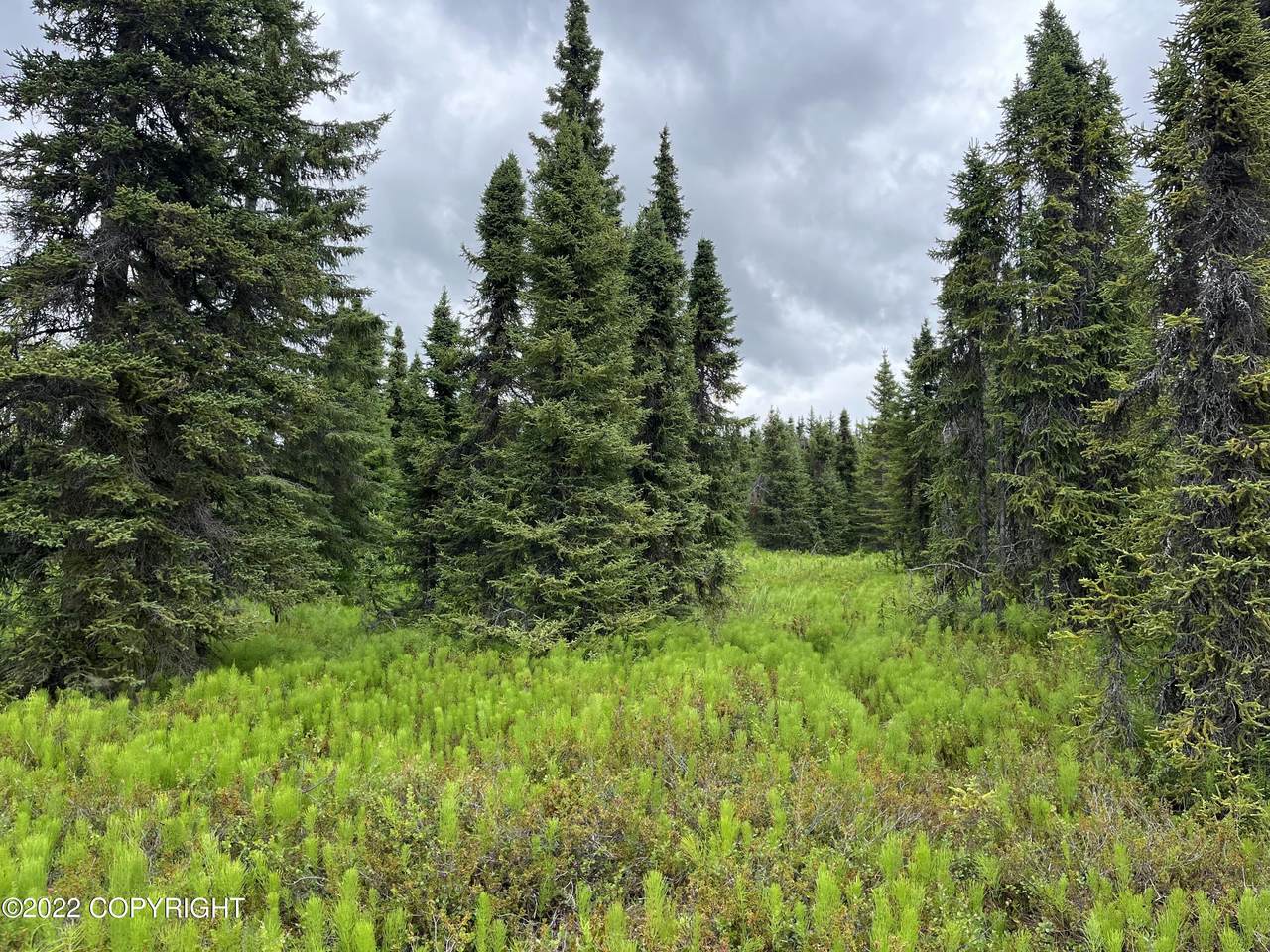 Tr15 Tomski Avenue - Photo 1