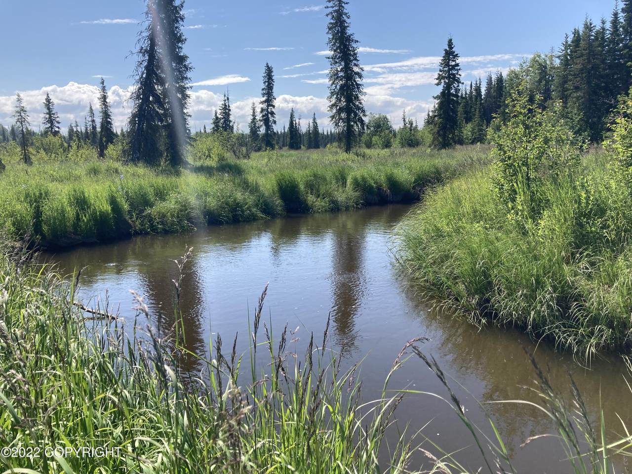 0000 Crooked Creek - Photo 1