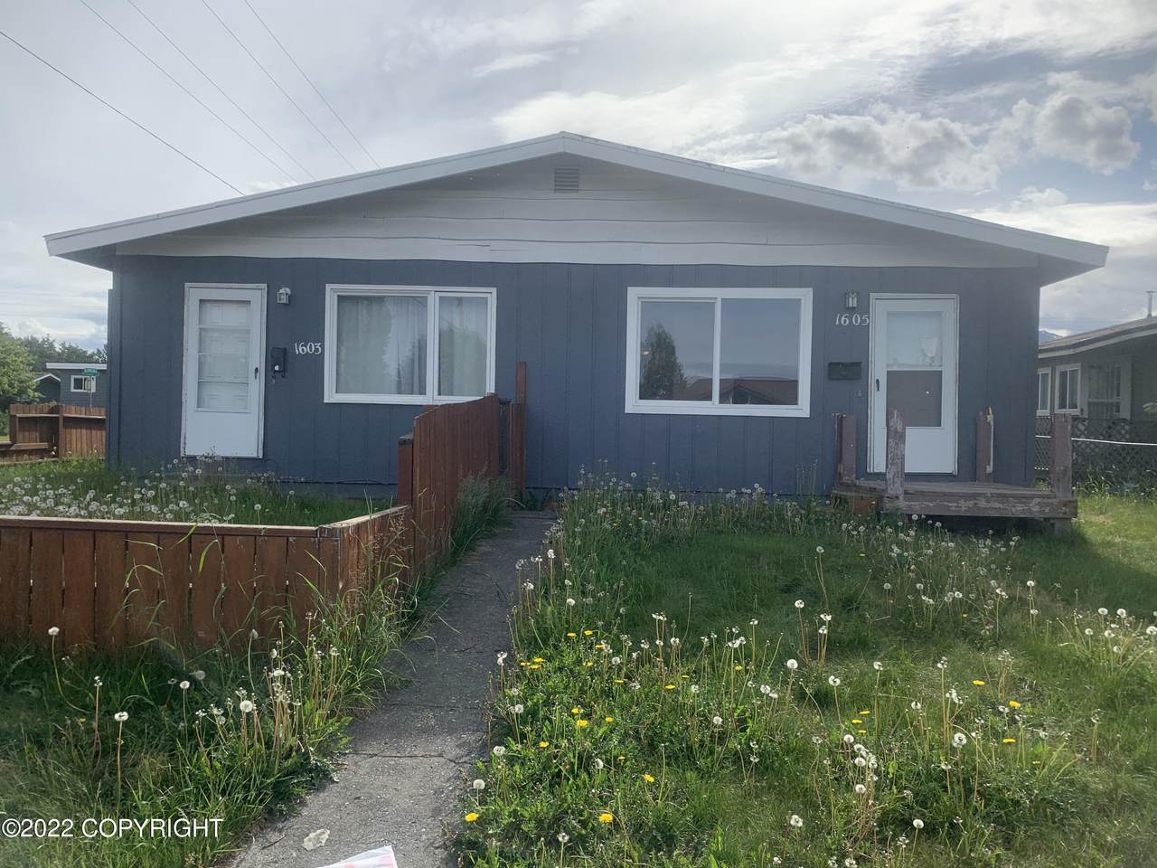 1603 Norene Street - Photo 1