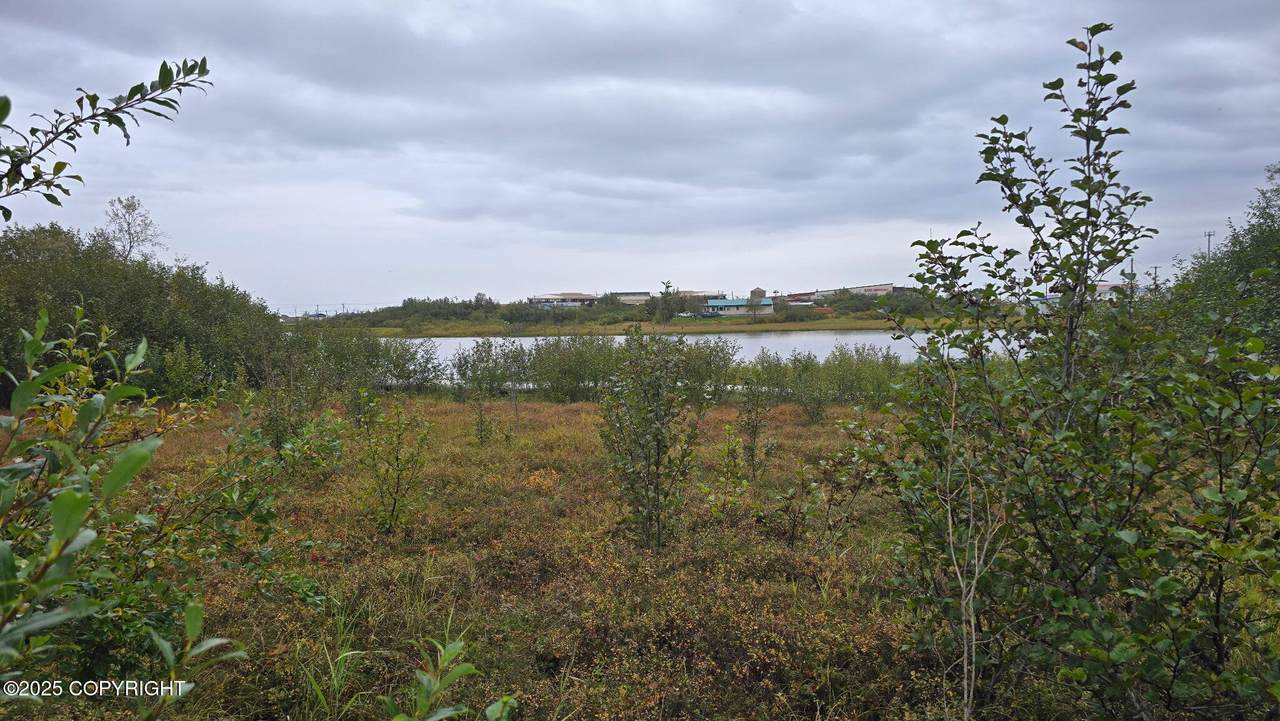 https://bt-photos.global.ssl.fastly.net/alaska/1280_boomver_2_25-11584-2.jpg
