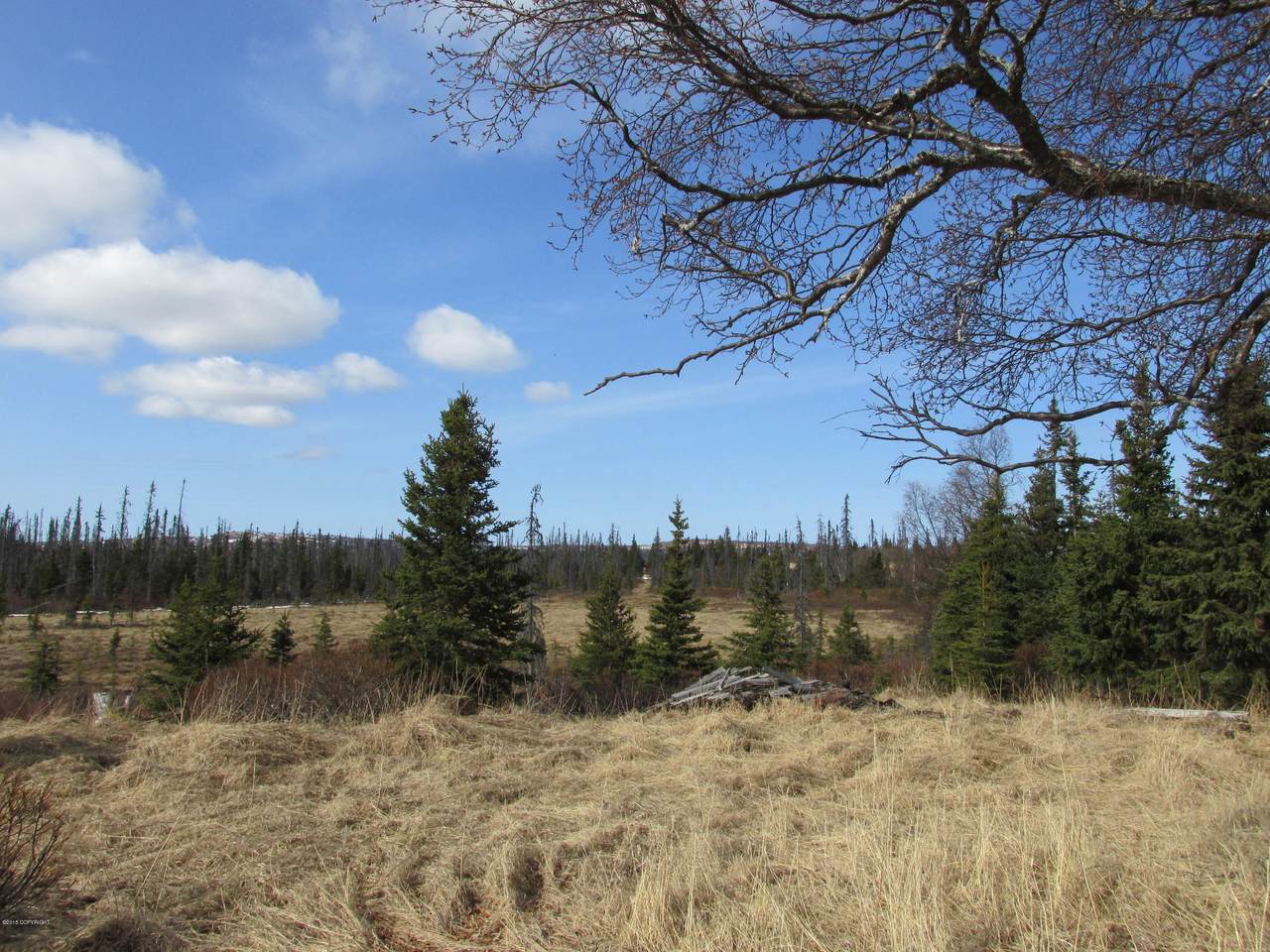 L1 B15 Snowshoe Road - Photo 1