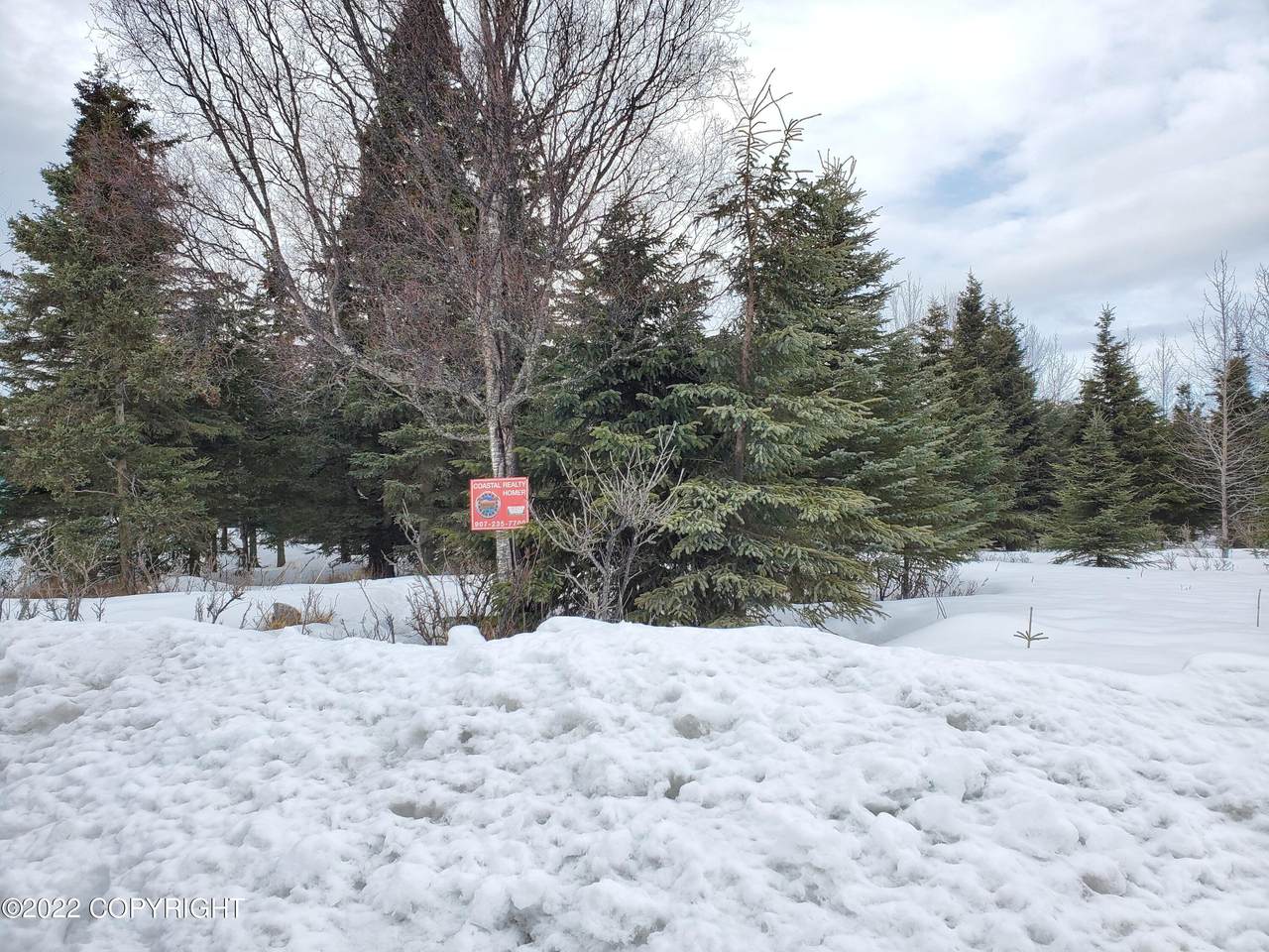 L10 B4 Aspen Avenue - Photo 1