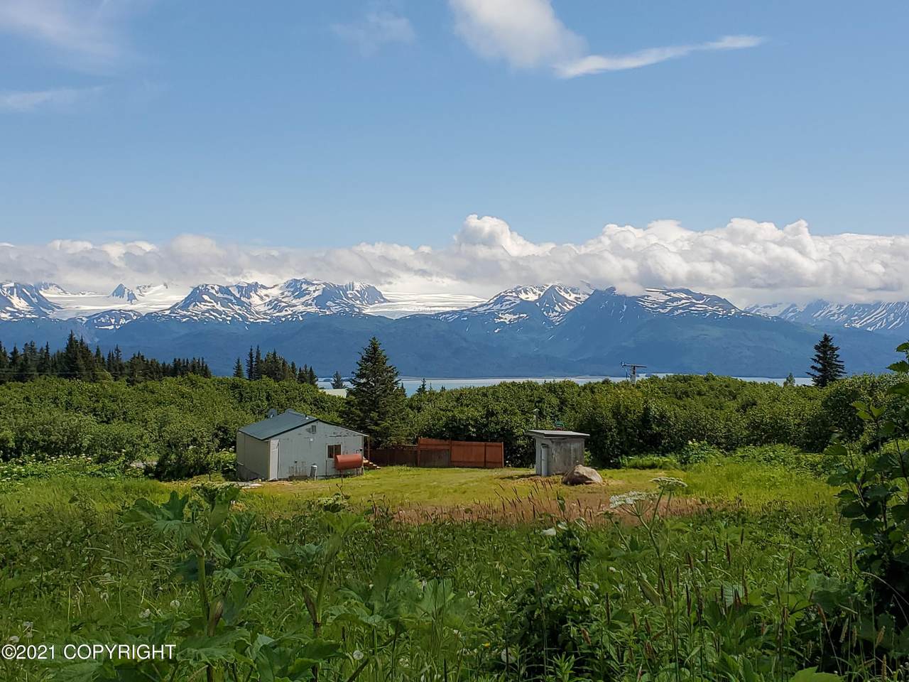 53032 Greenwood Road - Photo 1