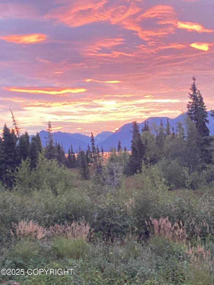 L2-3 Keyes Point - Photo 1