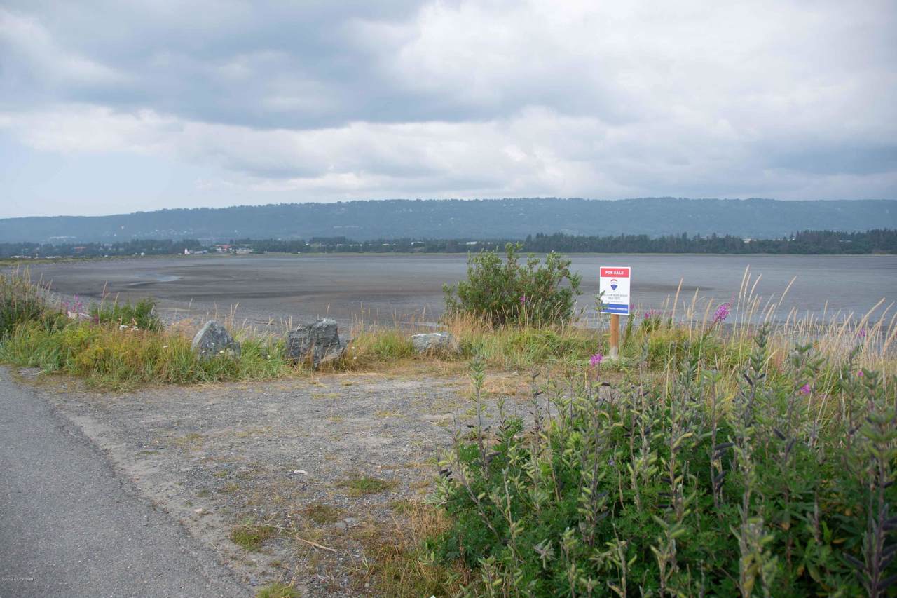 L12 Homer Spit Road - Photo 1