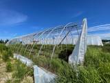 30992 Ram Rack Road - Photo 10