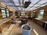 30992 Ram Rack Road - Photo 7