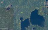 Lt 3 Delyndia Lake (No Road) - Photo 1