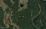 Tr A&B Lake Creek (No Road) - Photo 1