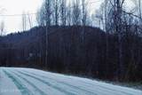 0000 Sue Tawn Drive - Photo 15