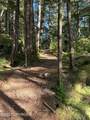 Clover Passage - Photo 10