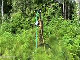 51927 Caswell Loop - Photo 17