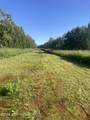 Shell Lake Skwentna River (No Road) - Photo 12