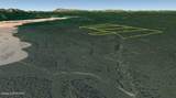 Shell Lake Skwentna River (No Road) - Photo 23