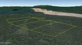 Shell Lake Skwentna River (No Road) - Photo 25