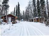 NHN Stonewood Lodge Lake Clark - Photo 31