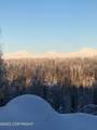 B5 L5 No Road Talkeetna S. Bald Mt. - Photo 91