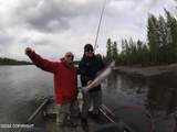 Tr D No Road Yentna River - Photo 36