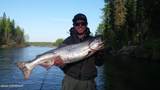 Tr D No Road Yentna River - Photo 39