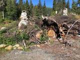 NHN Mosquito Lake Road Road - Photo 13