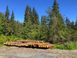 NHN Mosquito Lake Road Road - Photo 14