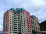 100 Kenai Street - Photo 11