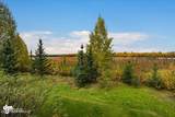 4748 Horseshoe Lake Road - Photo 74