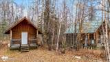 26986 Talkeetna Spur Road - Photo 42