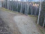 Tract-C Birch Bend Court - Photo 13