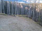 Tract-C Birch Bend Court - Photo 14