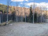 Tract-C Birch Bend Court - Photo 15