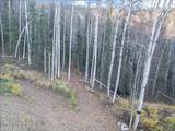 Tract-C Birch Bend Court - Photo 16