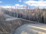 Tract-C Birch Bend Court - Photo 19