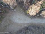Tract-C Birch Bend Court - Photo 22